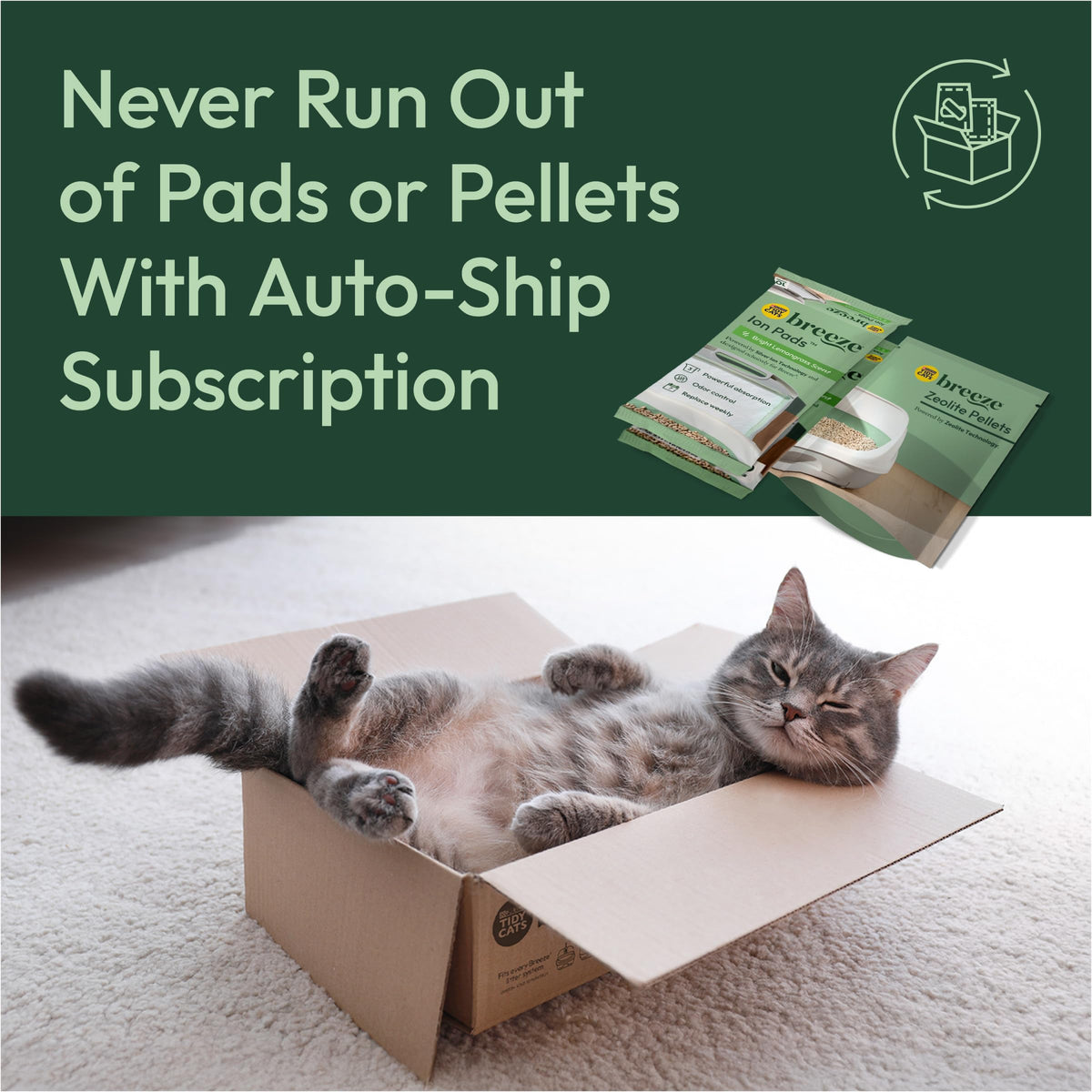 Purina Tidy Cats Breeze Litter Box System Kit with Pellet Cat Litter, XL Litter Box and Litter Box Pads