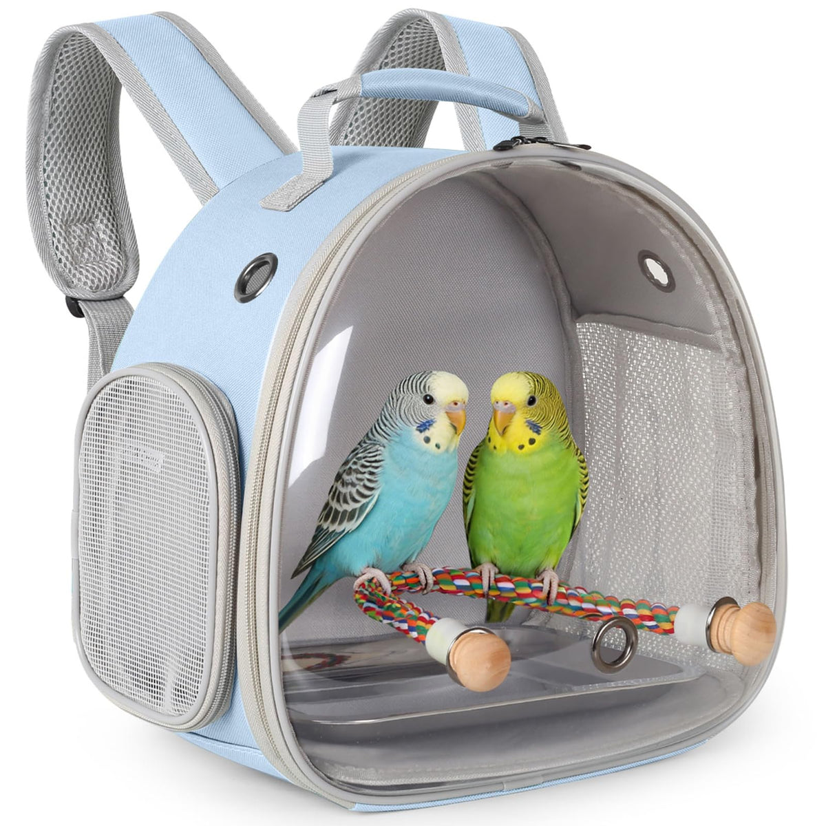 Small Bird Travel Backpack Carrier Cage, Backpack to Transport Backpack Carrier with Clamp Cups Stand Perch for Parakeet Cockatiel Budgies Vet Carry Book Bag Green