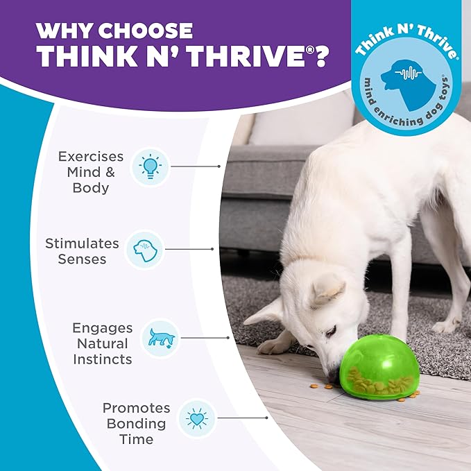 Outward Hound Snoop Interactive Treat Dispensing Dog Toy, Green, 5"