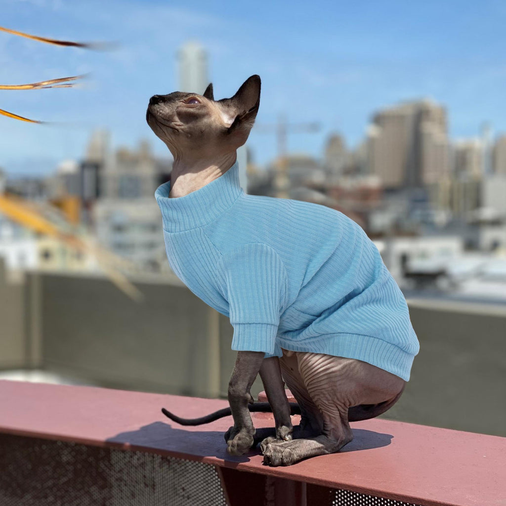 PUMYPOREITY Cat Clothes: Stretchy Shirt, Sweater with Sleeves, Soft Pullover Pajama for Sphynx, Devon Rex Cats - Blue, XS