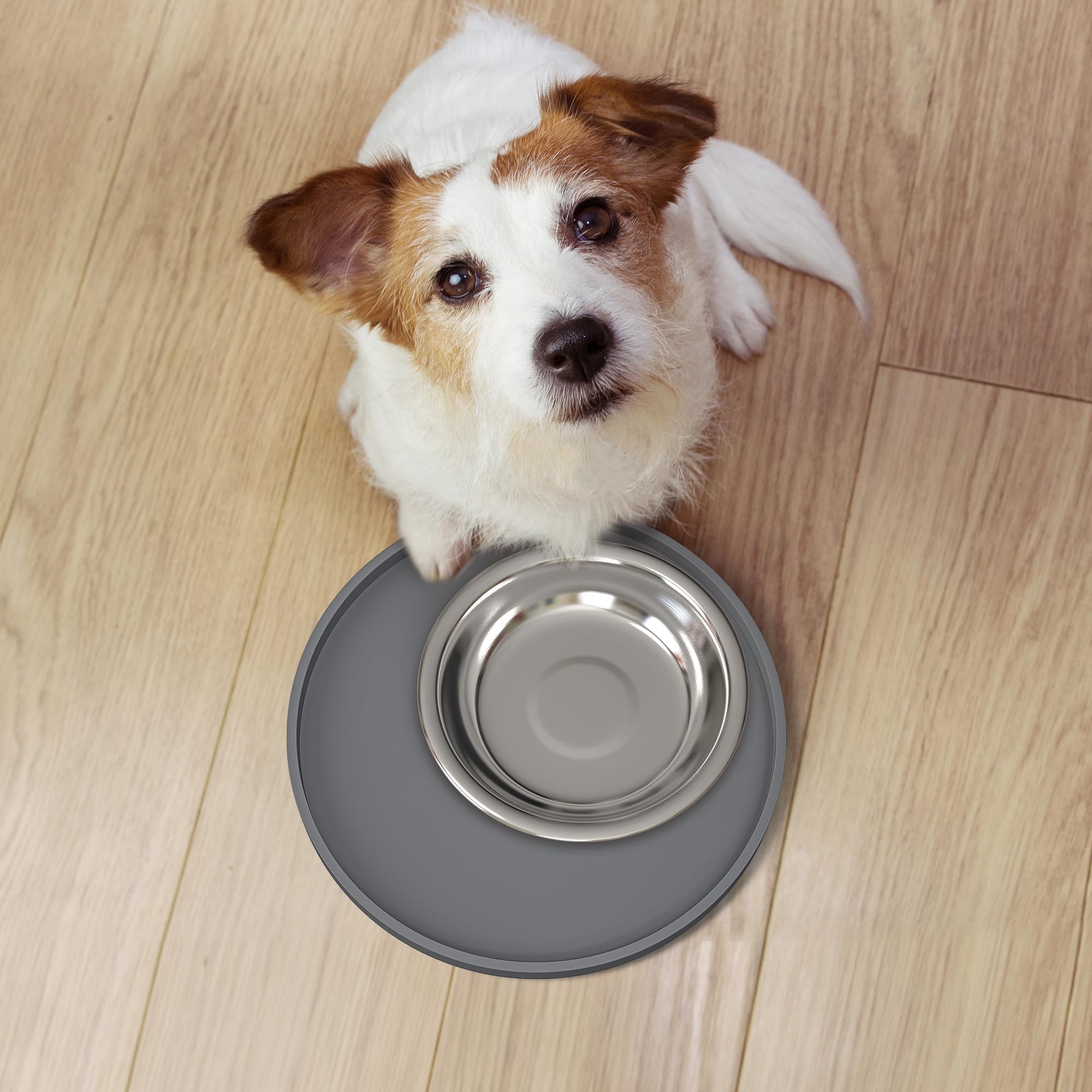 Arespark Cat Food Mat, Set of 2 Nonslip Waterproof Feeding Bowl Silicone Mats with Raised Edges for Food Water Prevent Spills, Round Eating Plates Tray for Dog Cat Puppy Kitten, 8'' x 8''