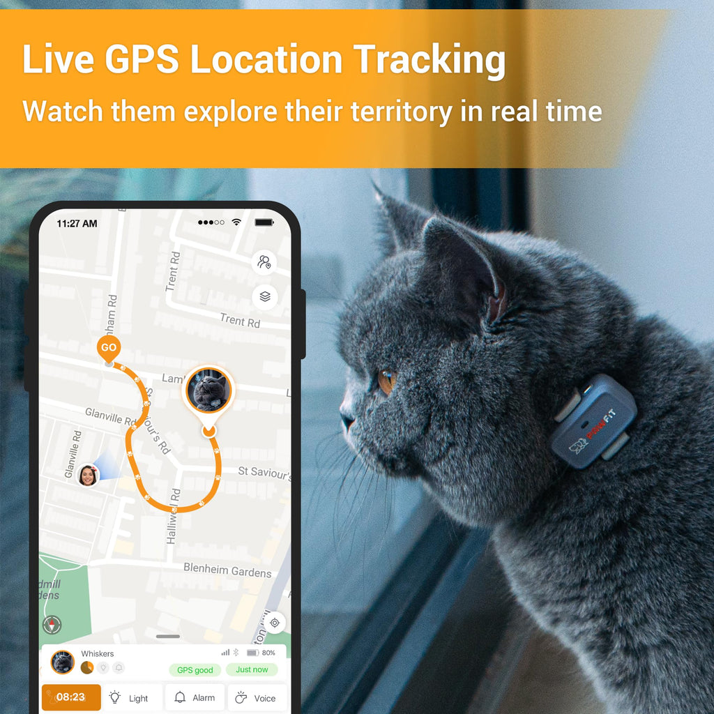 Pawfit Lite 4G GPS Cat Tracker, Live Tracking, Ultra-Light, Charcoal Grey