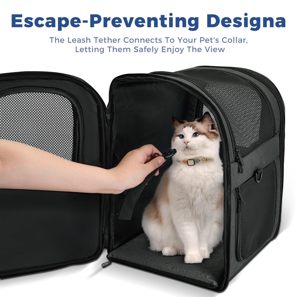 Apollo Walker Cat Carrier Backpack for Small Dogs and Cats Up to 18 lb