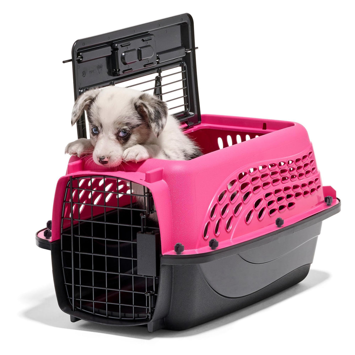 Petmate Dog Crate for Small Dogs and Cat Carrier, 24in, Pearl Tan