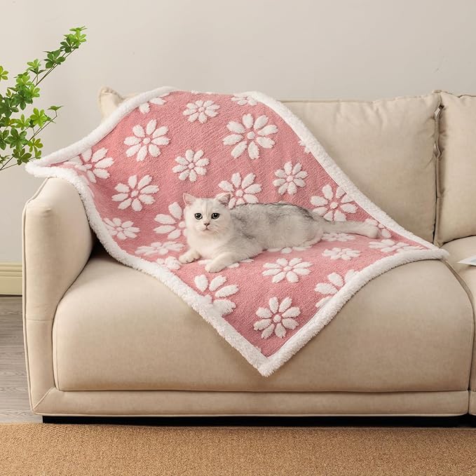 Yaning Cute Waterproof Blanket for Dog Cat or Adult, 50"x60"
