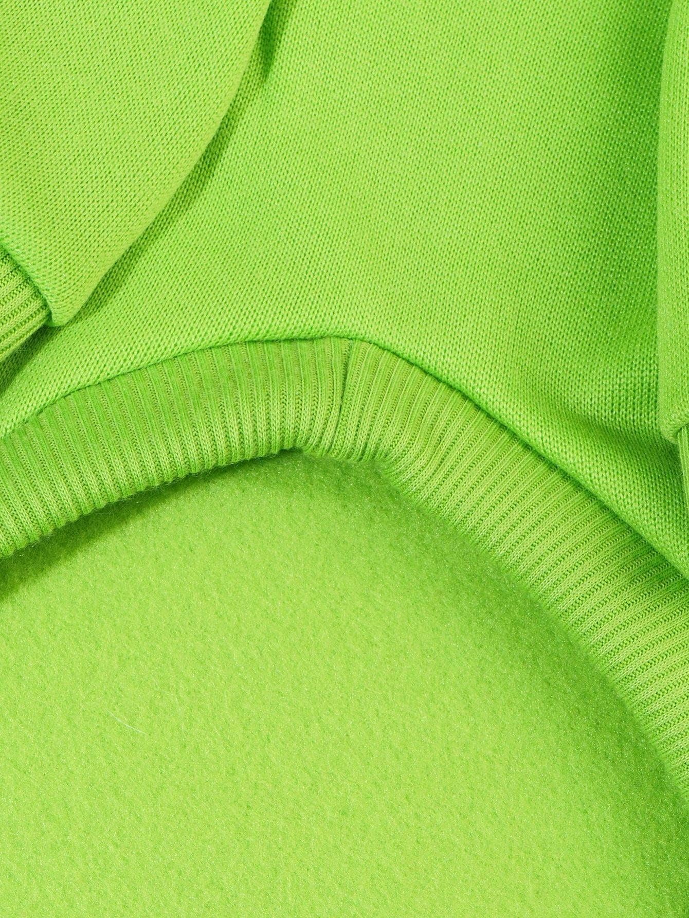 QWINEE Basic Dog Hoodie Sweatshirt Puppy Sweater Warm Cat Costumes Pet Clothes for Chihuahua Puppy Kitten Small Medium Dogs Green Large