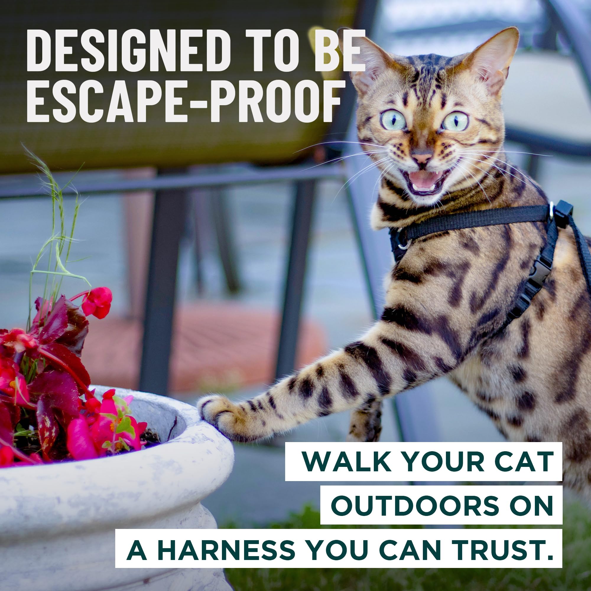 OutdoorBengal Houdini™ Escape Proof Cat Harness and Leash (Orange, M/L)