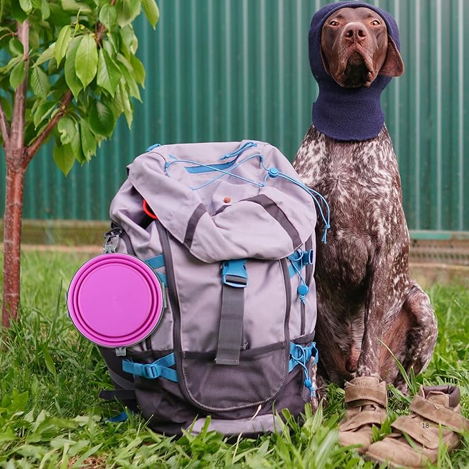 Loving Pets Bella Roma Collapsible Dog Bowls - Silicone Dog Bowls, Foldable Bowl, Puppy Essentials & Hiking Pet Supplies Great for Home & Travel (Pink, Large)