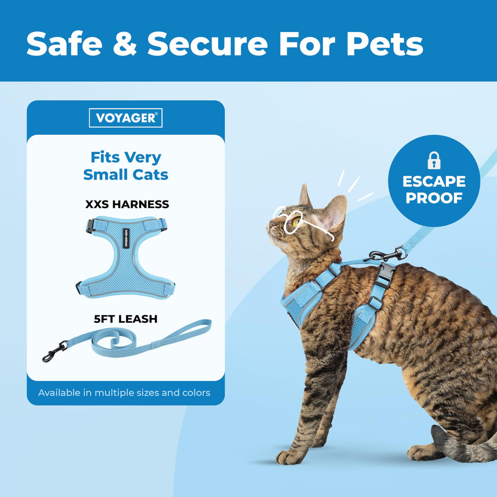 Voyager Escape-Proof Step-in Lock Cat Harness & 5ft Neoprene-Handle Leash Set All-Weather Mesh with Reflective Stitching for Small to Large Cats by Best Pet Supplies, Baby Blue (327), XXS