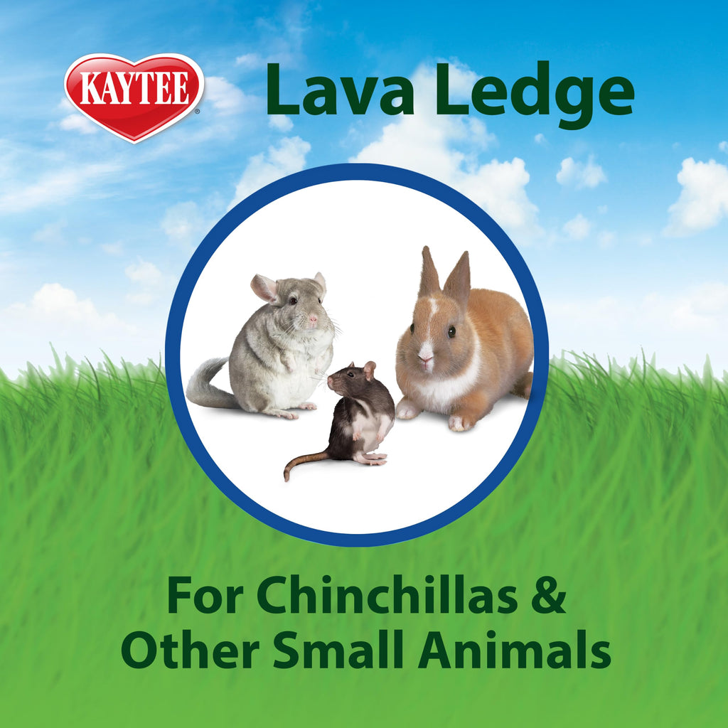 Kaytee Lava Ledge for Small Pet Wire Habitats