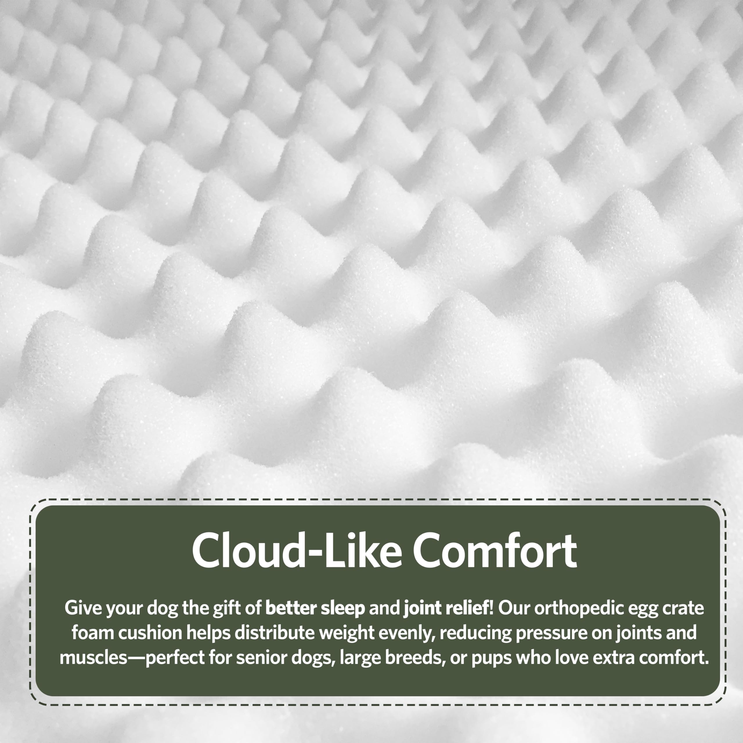 MidWest Homes for Pets Orthoperdic Egg-Crate Nesting Pet Bed w/ Teflon Fabric Protector, Large Green