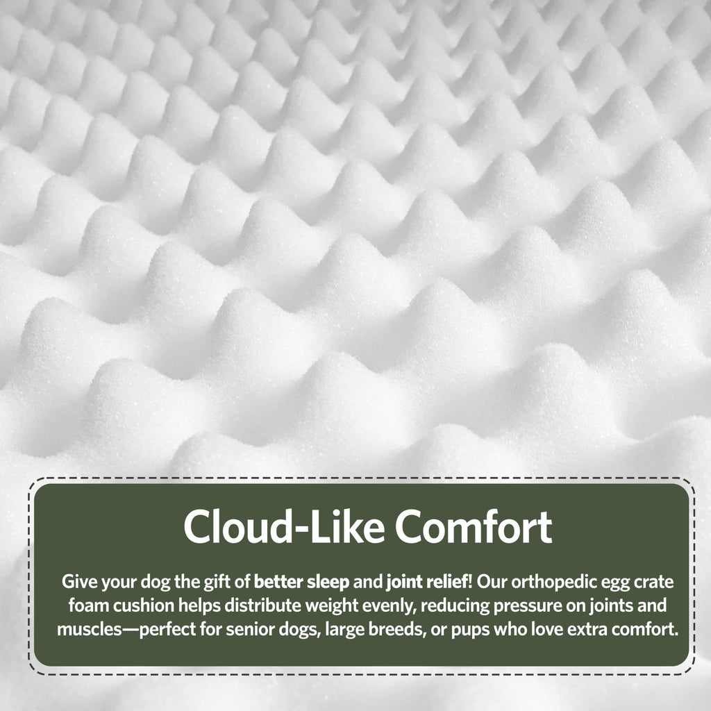 MidWest Homes for Pets Orthoperdic Egg-Crate Nesting Pet Bed w/Teflon Fabric Protector, XS Green