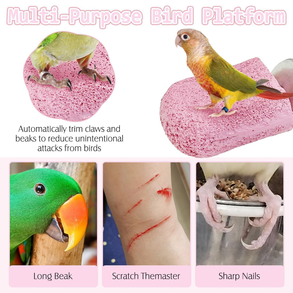 PINVNBY 5 Pack Bird Perch Resin Bird Beak Grinding Stone Parrot Cage Stand Platform Foot Claws Trimmer Chew Toy Cage Accessories for Budgie Cockatiel Conure Lovebird Finch (Pink)