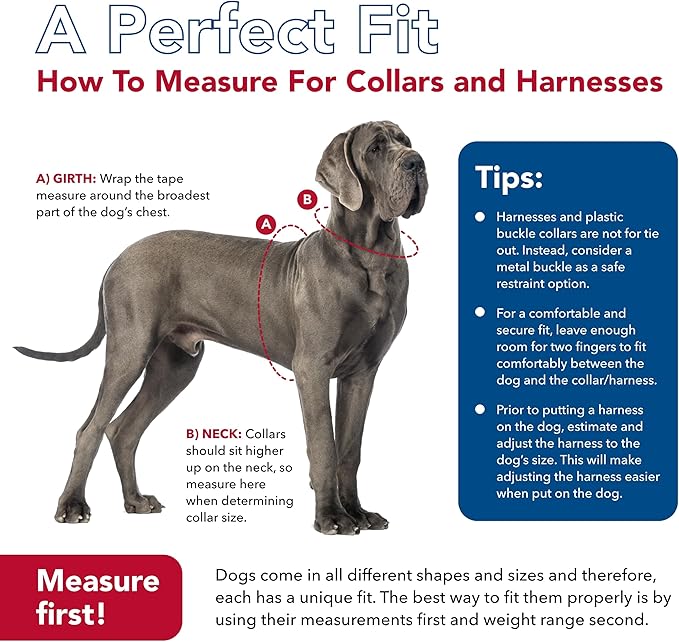 Coastal Pet K9 Explorer Reflective Adjustable Dog Collar - Comfortable Collar for the Outdoors - Durable, Lightweight Accessory with Side-Release Buckle - Sapphire, 5/8" x 10-14"