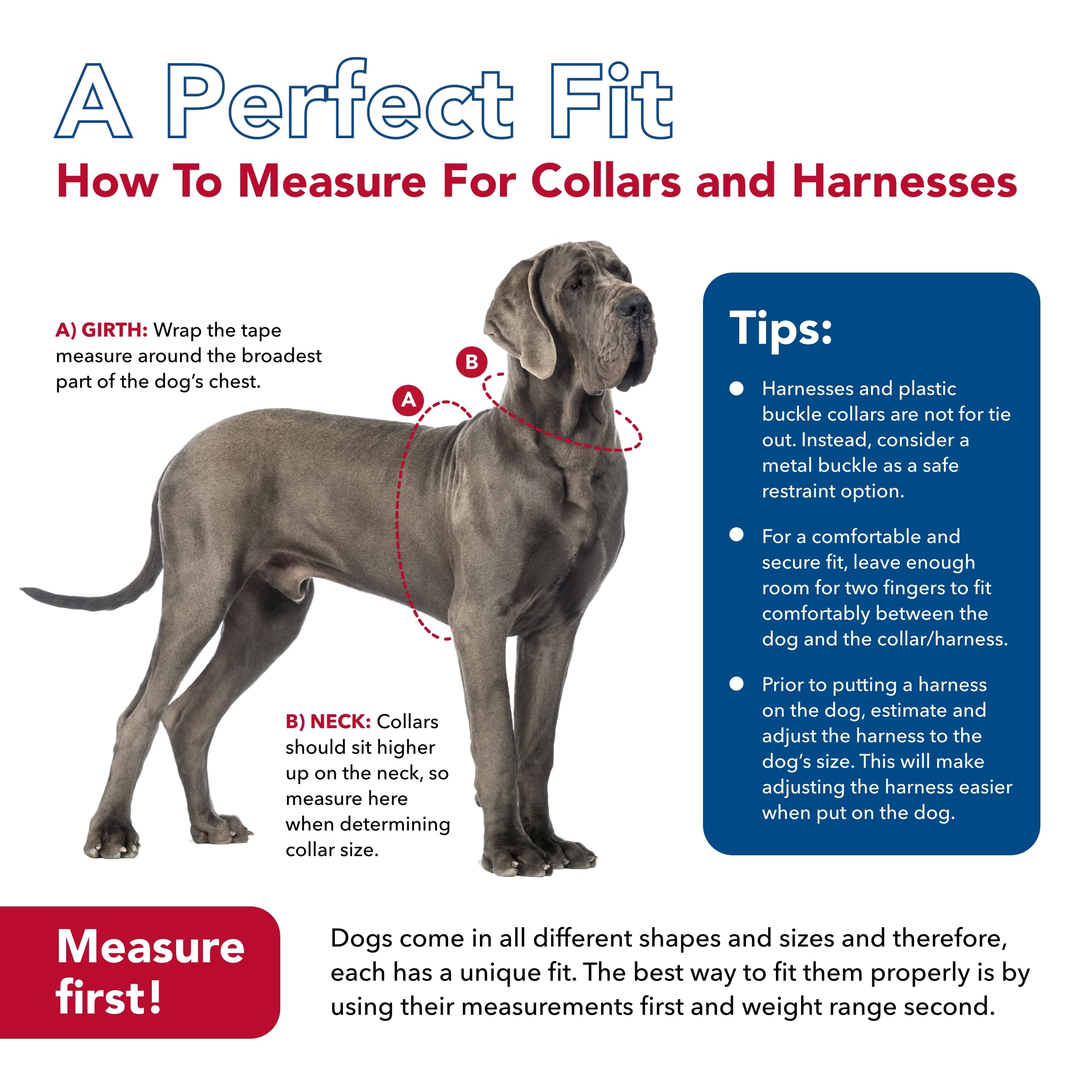 Coastal Pet K9 Explorer Reflective Adjustable Dog Collar - Comfortable Collar for the Outdoors - Durable, Lightweight Accessory with Side-Release Buckle - Rosebud, 5/8" x 10-14"