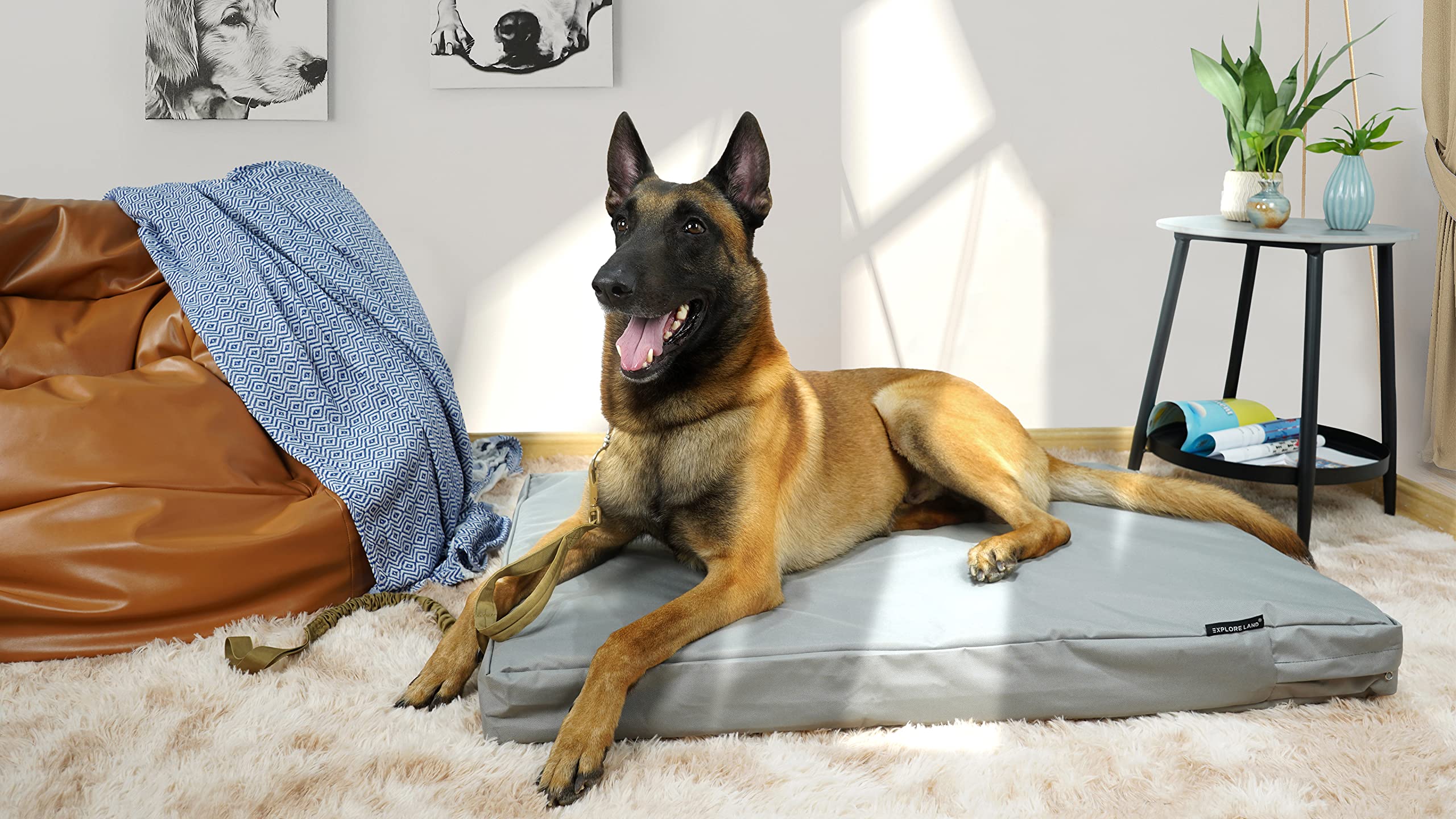 Explore Land Waterproof Dog Bed Cover, 48Lx36Wx4H inch, Gray