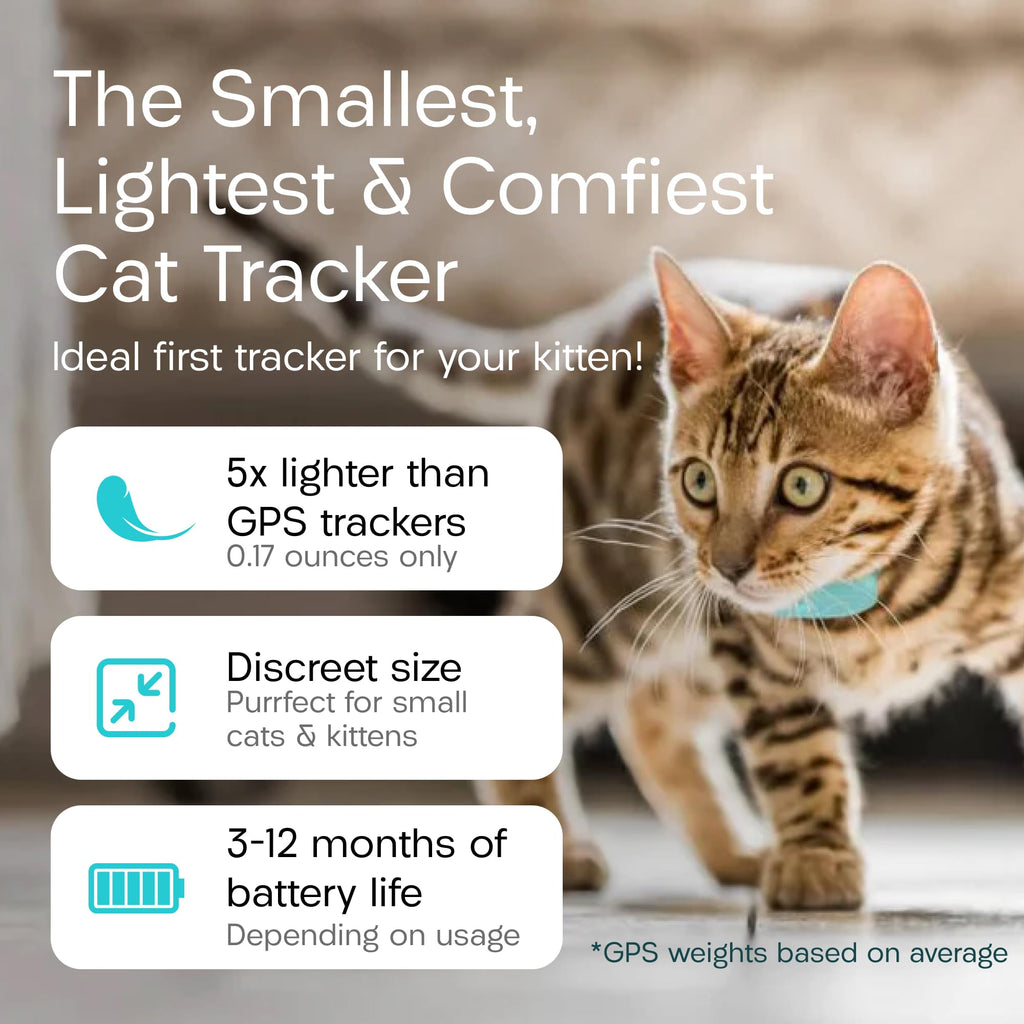Tabcat V2 Cat & Kitten Tracker - More Accurate Than GPS - No Monthly Fee or Subscription - Includes 2 Homing Tags - Up to 150m Range - Small & Lightweight Tags Perfect to Find Indoor & Outdoor Cats