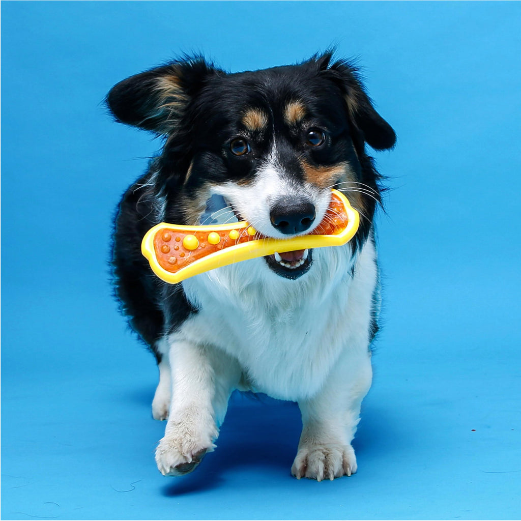 Hartz Chew 'n Clean Dental Duo Dog Treat & Chew Toy, Color Varies, Extra Small, 6 Count