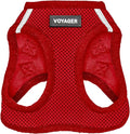 Best Pet Supplies Voyager Step-in Air Harness - All Weather Mesh, Reflective, No Pull Harness for Dogs, Cats - Secure with Hook & Loop Fastener, Buckle, Double D-Rings - Red, XXXS