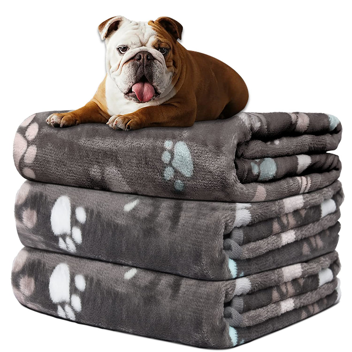Rezutan 3 Pack Premium Soft Dog Blanket for Medium Dogs Puppy & Cat