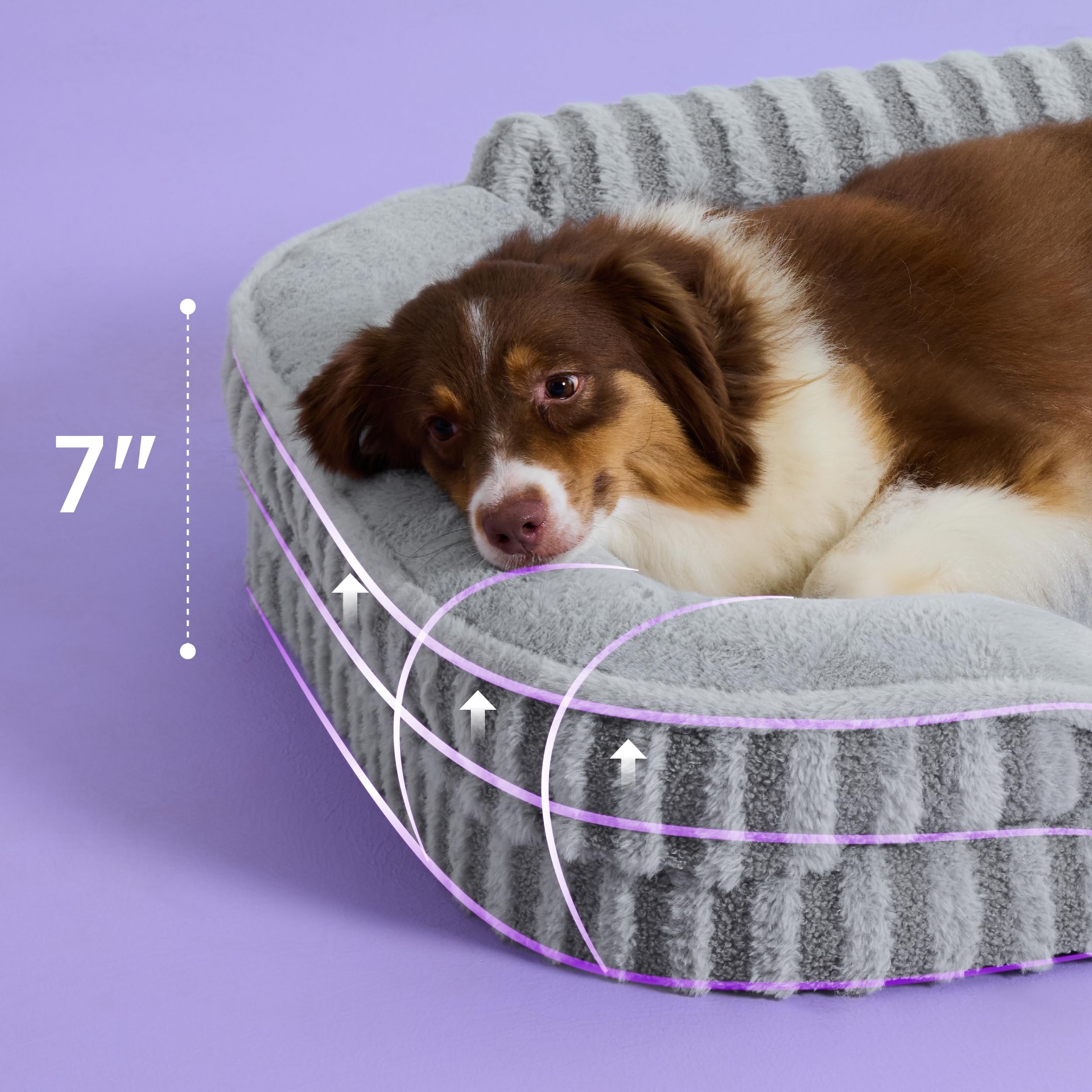 LE SURE Cute Cozy High Back Orthopedic L Plus Dog Bed,38" Grey