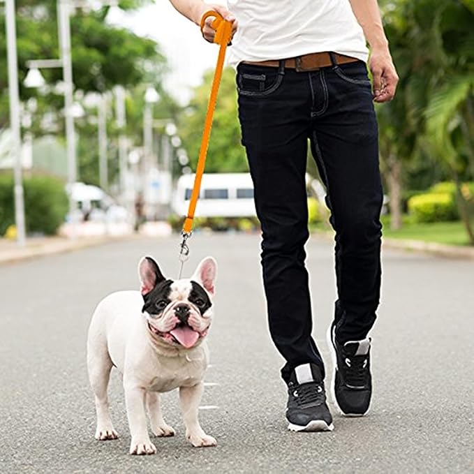 Downtown Pet Supply - Long Dog Leash - 150 ft Orange Nylon Dog Training Leash for Recall & Obedience