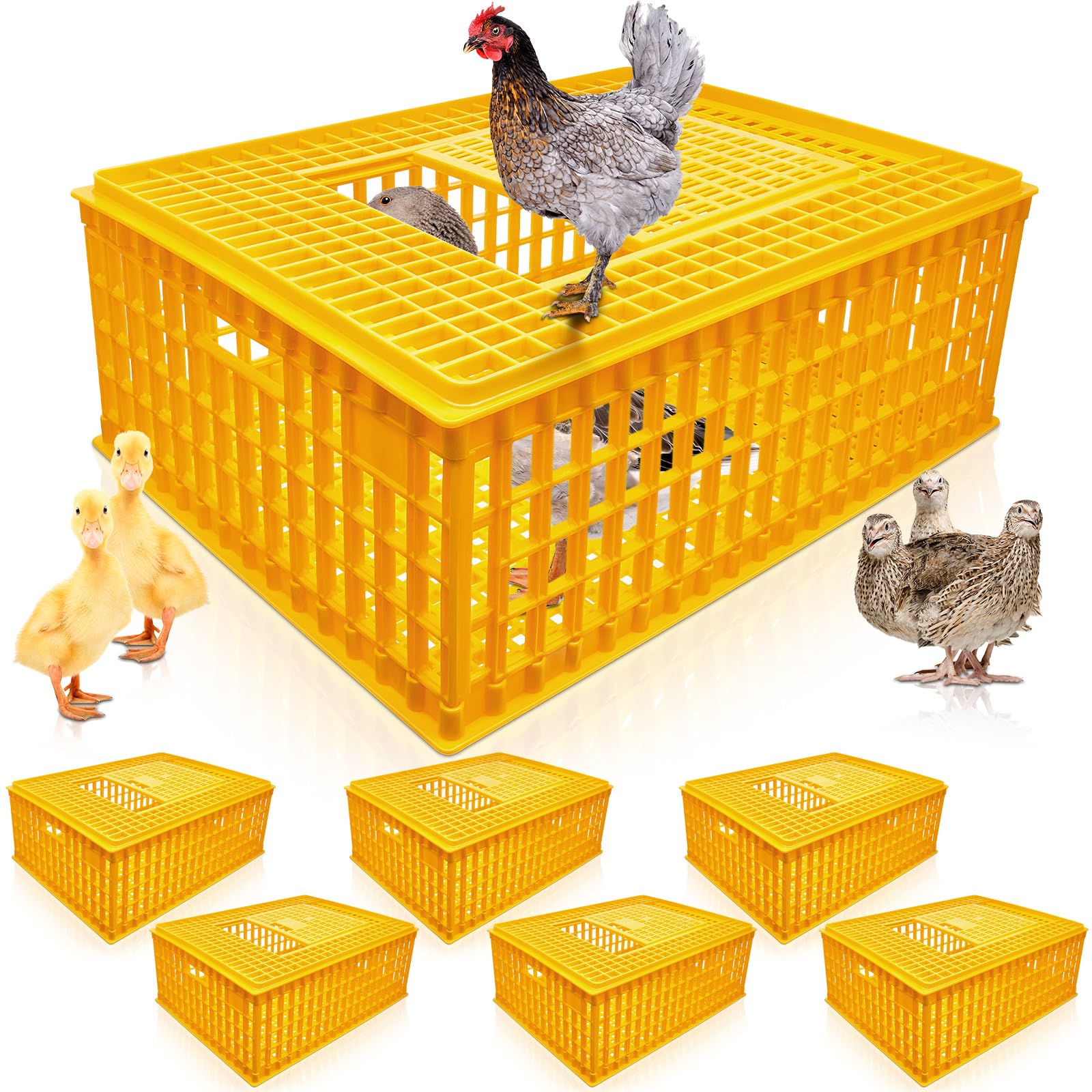 Sintuff Poultry Carrier Crate Plastic Chicken Transport Cage Bird Carriers Chickens Carrier Travel Crate Basket Box for Poultry Chicken Bird Duck Goose, 29.5 x 21.7 x 11.6 Inch(6 Pcs)