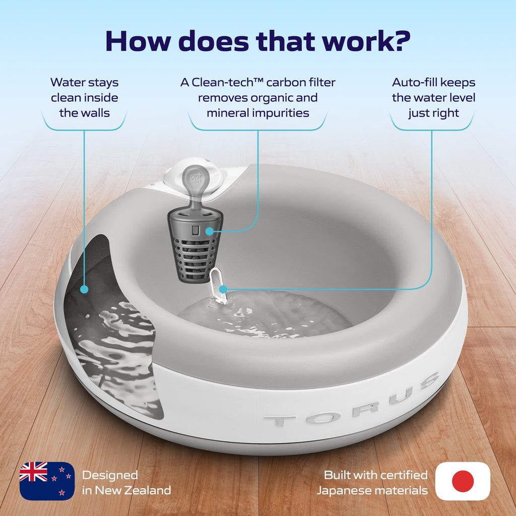 TORUS PET Maxi Filtered Dog Water Bowl, 2L/68oz — No Power or Batteries Needed, Auto-Refill, No Spill, Portable Travel Lock, Carbon Filter, BPA-Free, Dogs & Cats