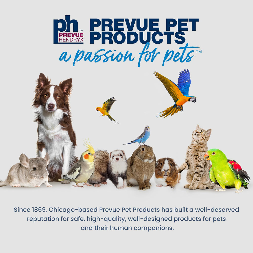 Prevue Pet Products Parakeet Square Roof Bird Cage with Handle