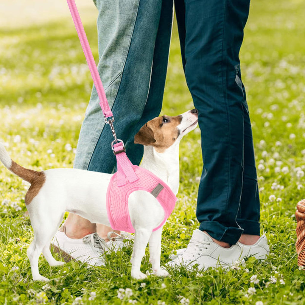 PUPTECK Dog Harness, Collar and Leash Set No Pull for Small Medium Sized