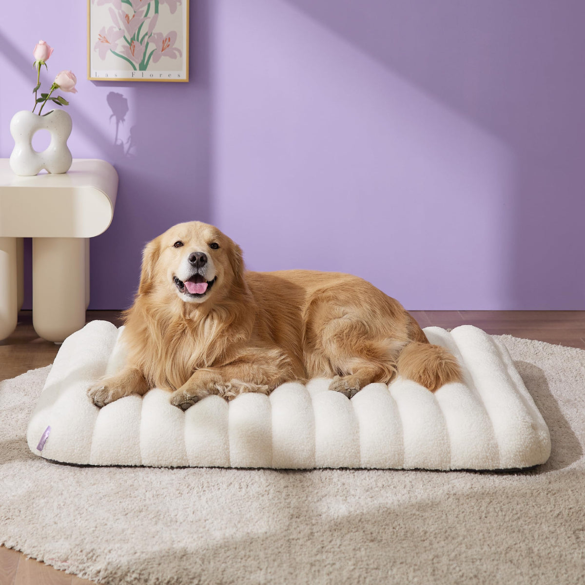 LE SURE Cute Orthopedic Dog Bed Medium Size Dog, Waterproof Chic Flat Pet Beds with Removable Washable Cover, Fuzzy Thick Egg Crate Foam Pet Mat for Indoor Use (30" x 20", Brown)