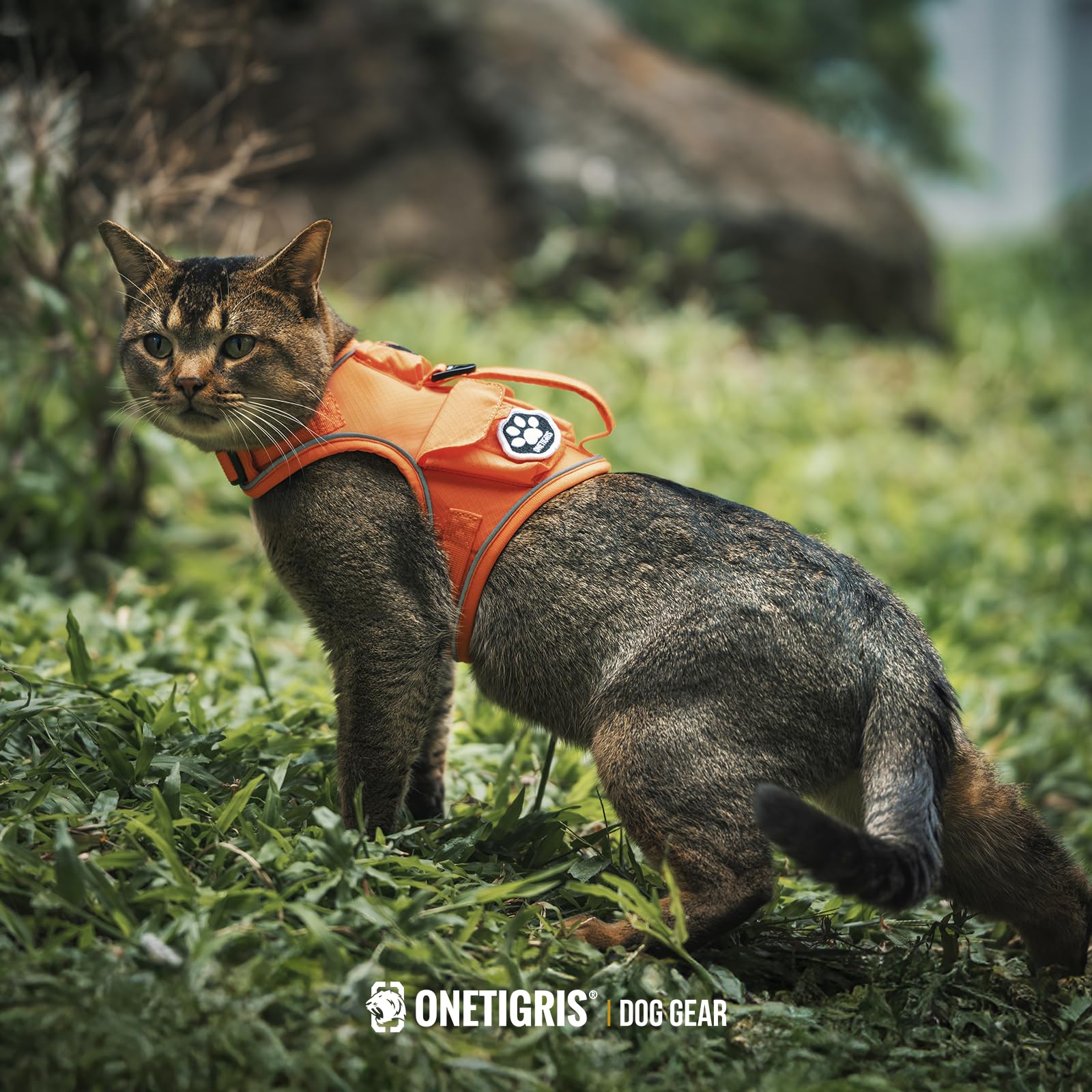 OneTigris Tactical Cat Harness and Leash Escape Proof Soft Adjustable
