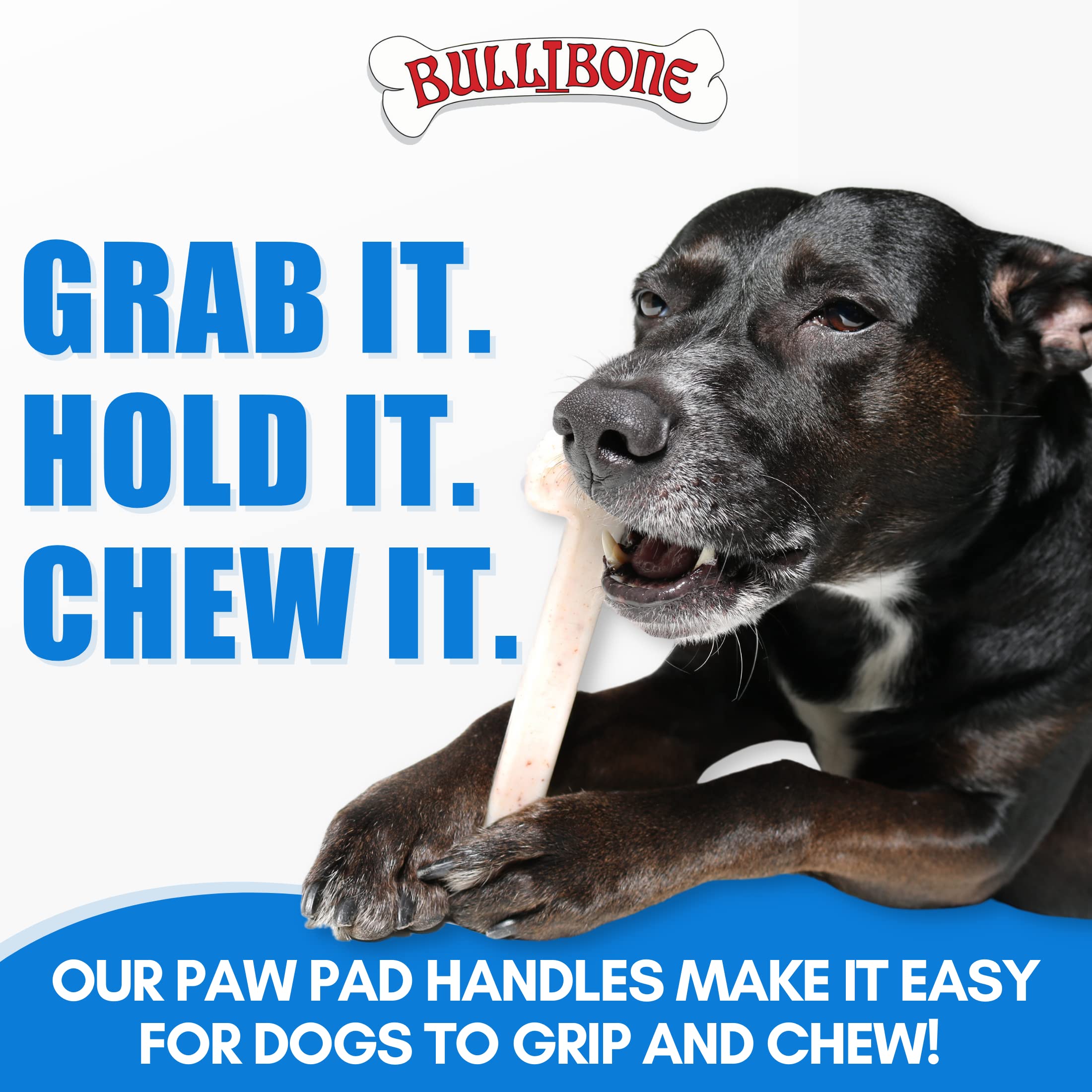 Bullibone Nylon Dog Chew Toy for Aggressive Chewers - Dental Hygiene Bone with Peanut Butter Flavor, Durable Tough Chew Toys for Large Dogs, Indestructible Dog Bone - Single