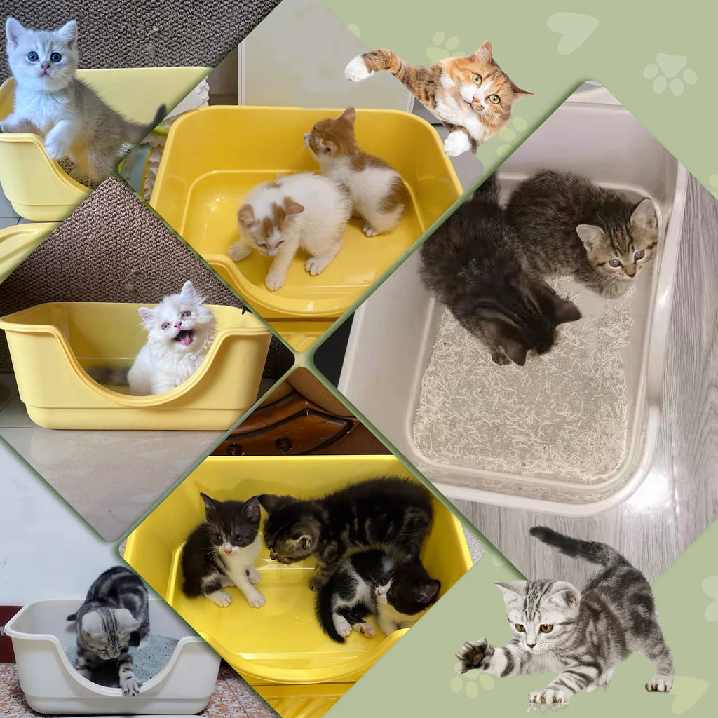Tehoao Low Entry Small Litter Box for Kittens, Kitty Plastic Litter Boxes, Open Top, Anti-Splash High Sided Litter Tray Pan for Medium Pets, Puppy, Easy to Clean, 15.7" L*11.8" W*6.7" H (Grey)