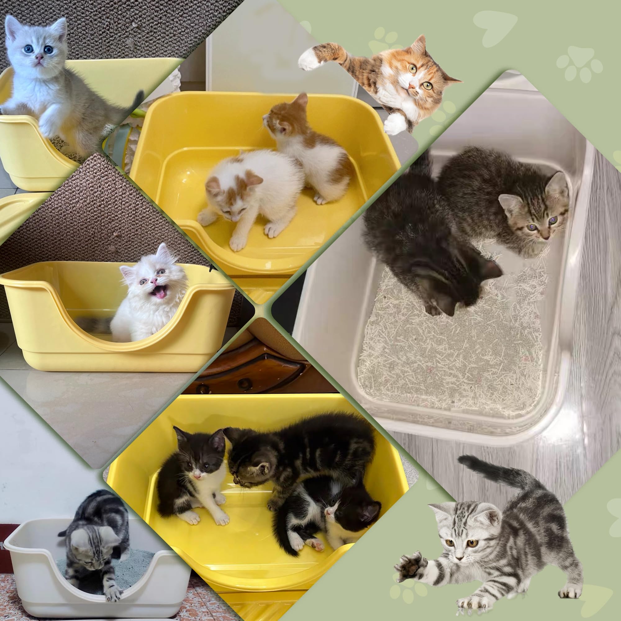 Tehoao Low Entry Small Litter Box for Kittens, Kitty Plastic Litter Boxes, Open Top, Anti-Splash High Sided Litter Tray Pan for Medium Pets, Puppy, Easy to Clean, 15.7" L*11.8" W*6.7" H (Grey)