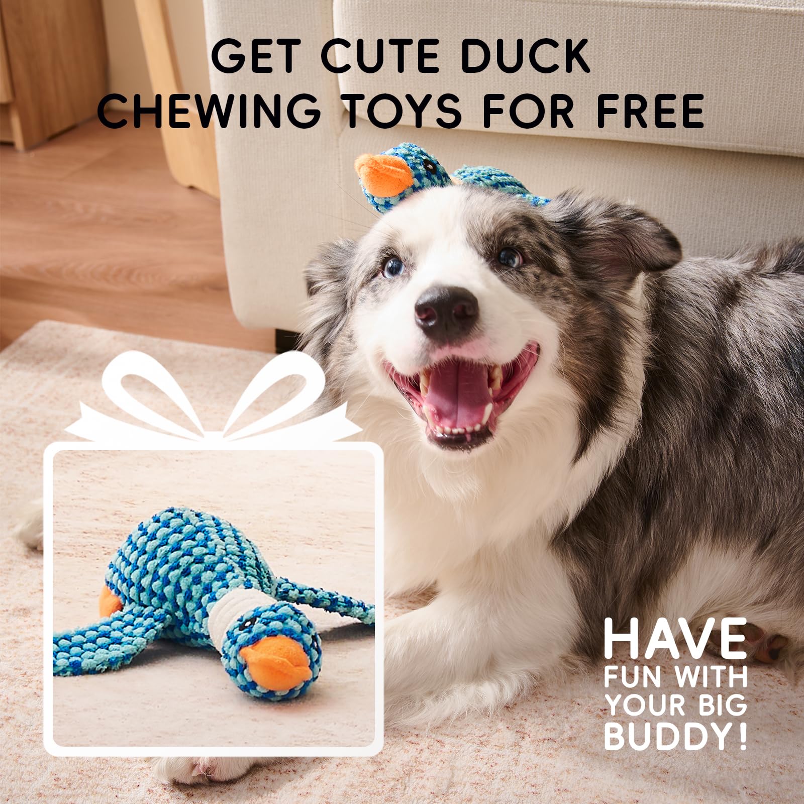 Homemate Dog Bed Large Sized Dog: 42"x30" Orthopedic Pet Bed with Toy