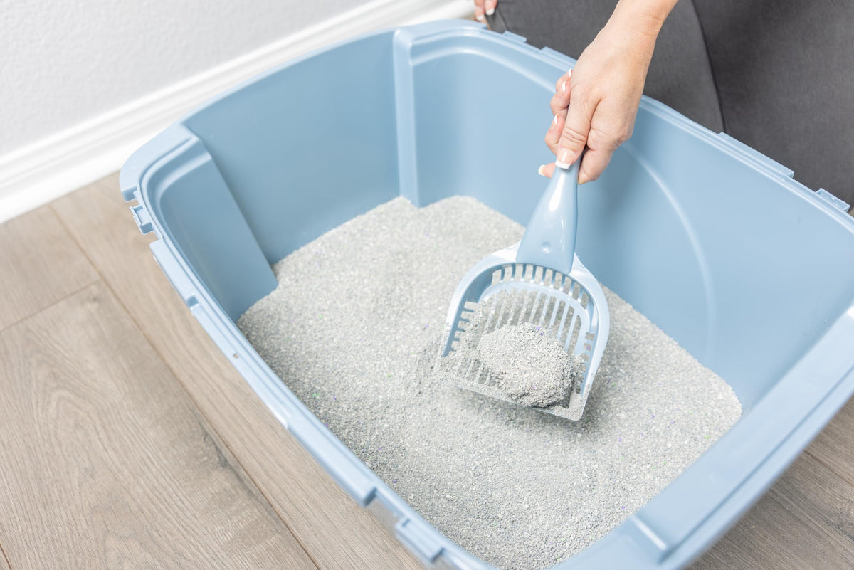 Pureness Regular Litter Scoop