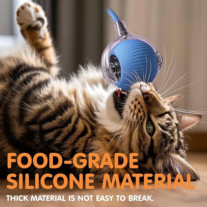 Rocfish Durable Interactive Cat Toys for Indoor Cats (Blue, 01)