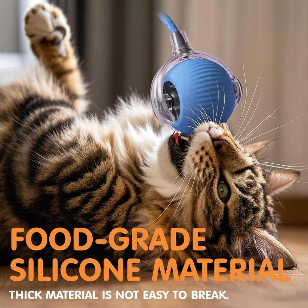 Rocfish Durable Interactive Cat Toys for Indoor Cats (Blue, 01)
