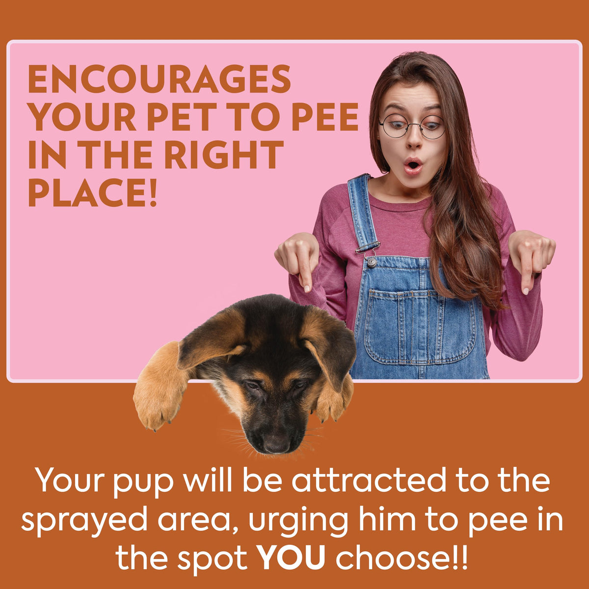 OUT! PetCare Pee Here Attractant, Potty Training Spray for Dogs, 32oz