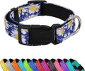 Reflective Dog Collar, Adjustable Soft Neoprene Padded Nylon Pet Collars with Buckle for Puppy and Small Dogs, Cats, Small Daisies Blue,M