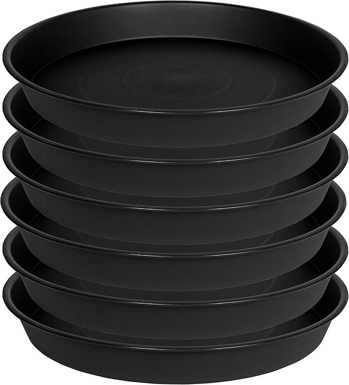 Bleuhome 6 Pack of 6 inch Plant Saucer Drainage Tray, 4 5 7 8 10 12 13 15 17 19 inch Plastic Plant Water Tray, Flower Saucers for Indoors, Plant Dishes for Pots Base (6 inch — 10"