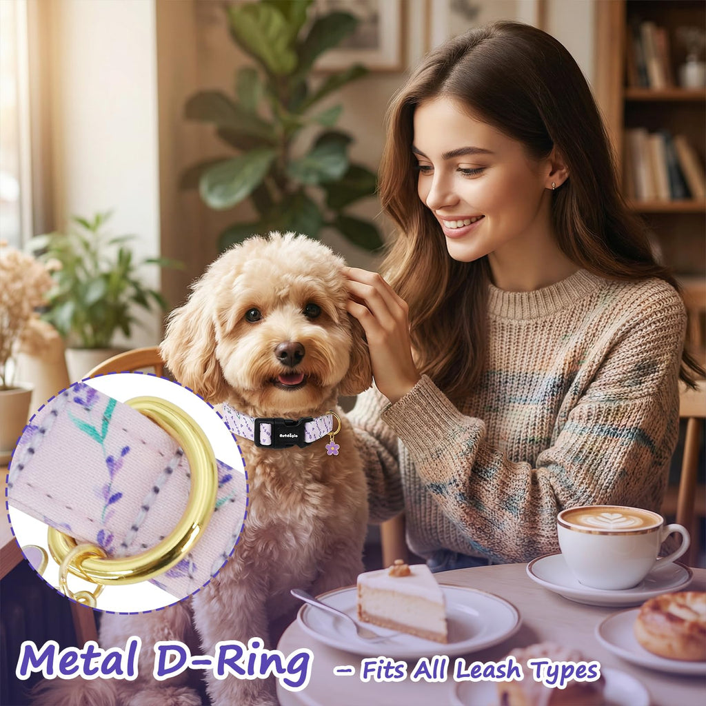 Astdogio Dog Collar for Medium Dogs, Spring Purple Dog Collars with Flowers Pattern, Adjustable Cotton Dog Collars, Cute Girl or Boy Dog Collar Ideal for Gifts,Pet Accessory
