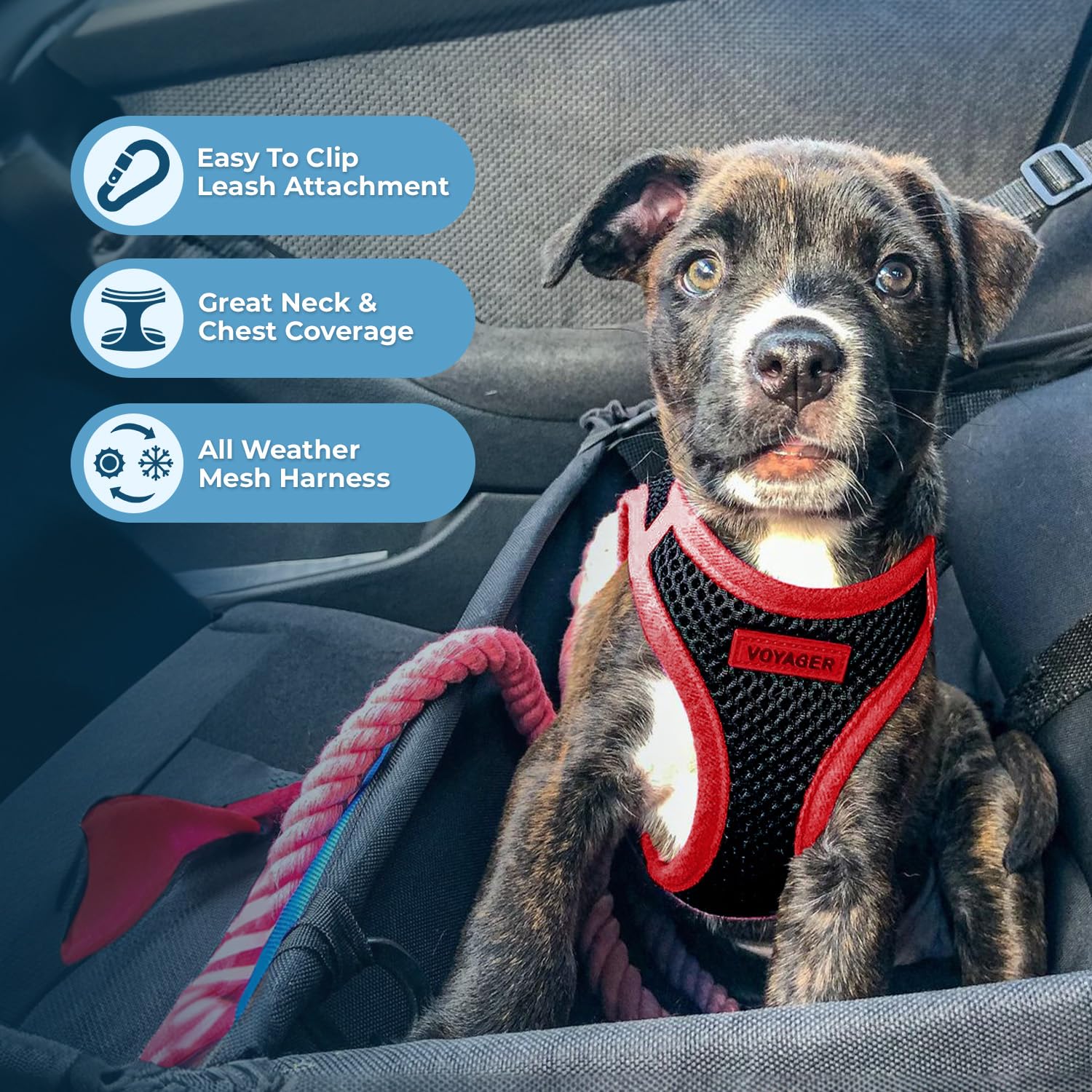 Best Pet Supplies Voyager Step-in Air All Weather Mesh Harness and Reflective Dog 5ft Leash Combo with Neoprene Handle, for Small, Medium and Large Breed Puppies - Red Trim, Medium
