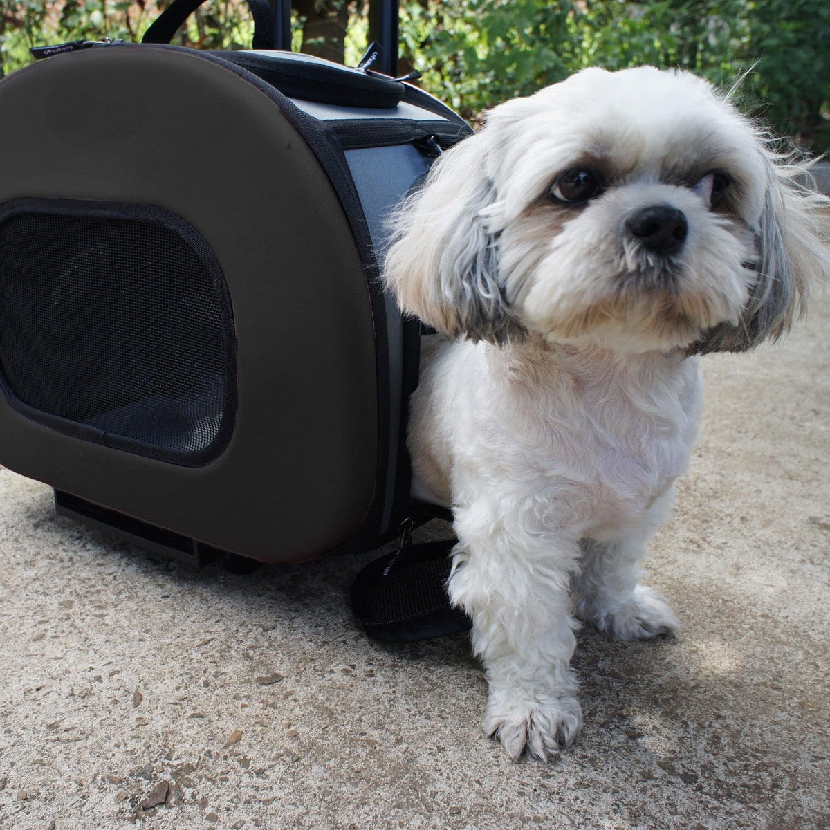 Pet Life Final Destination Carrier - Airline Approved Rolling - Black