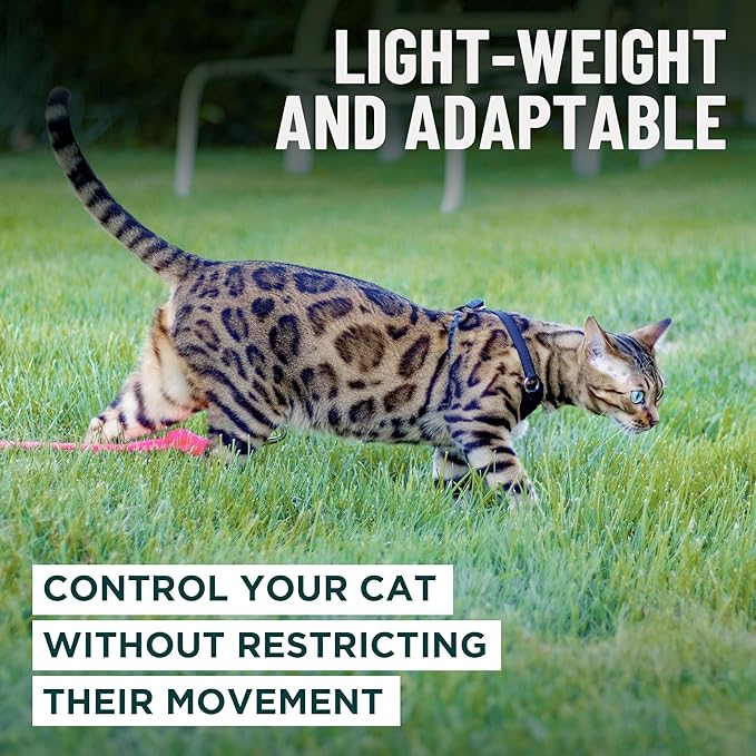 Houdini™ Escape Proof Kitten Harness and Leash Set by OutdoorBengal – Turquoise, Small Cat Harness for Walking