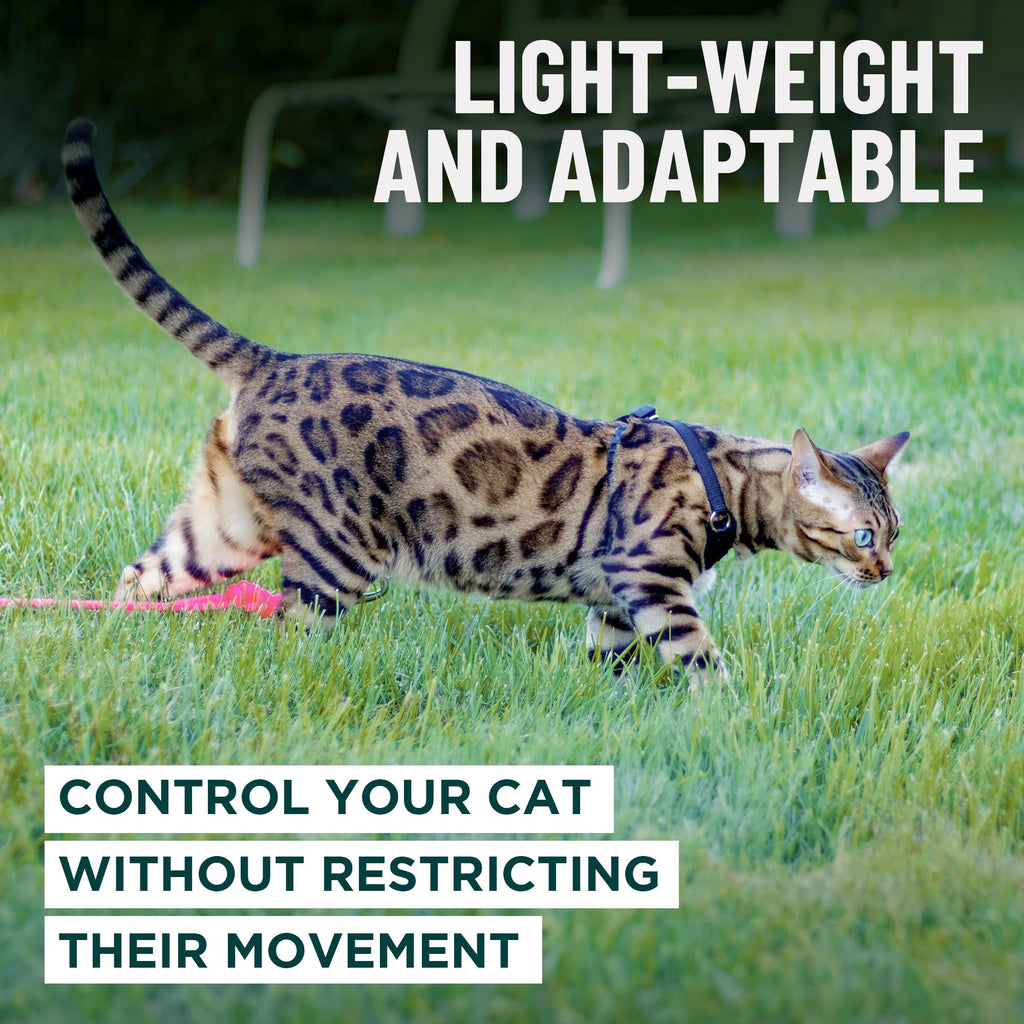 OutdoorBengal Houdini™ Escape Proof Cat Harness and Leash (Orange, M/L)