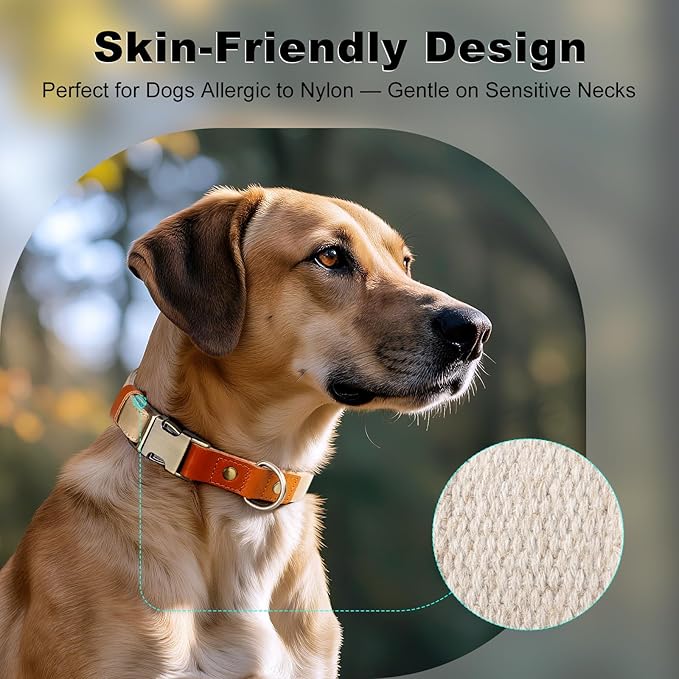 Plutus Pet Genuine Leather & Hemp Dog Collar – Adjustable Heavy Duty Pet Collar with Quick Release Metal Buckle, Soft & Stylish for Puppy and Small, Medium, Large Dogs (Beige, XS)