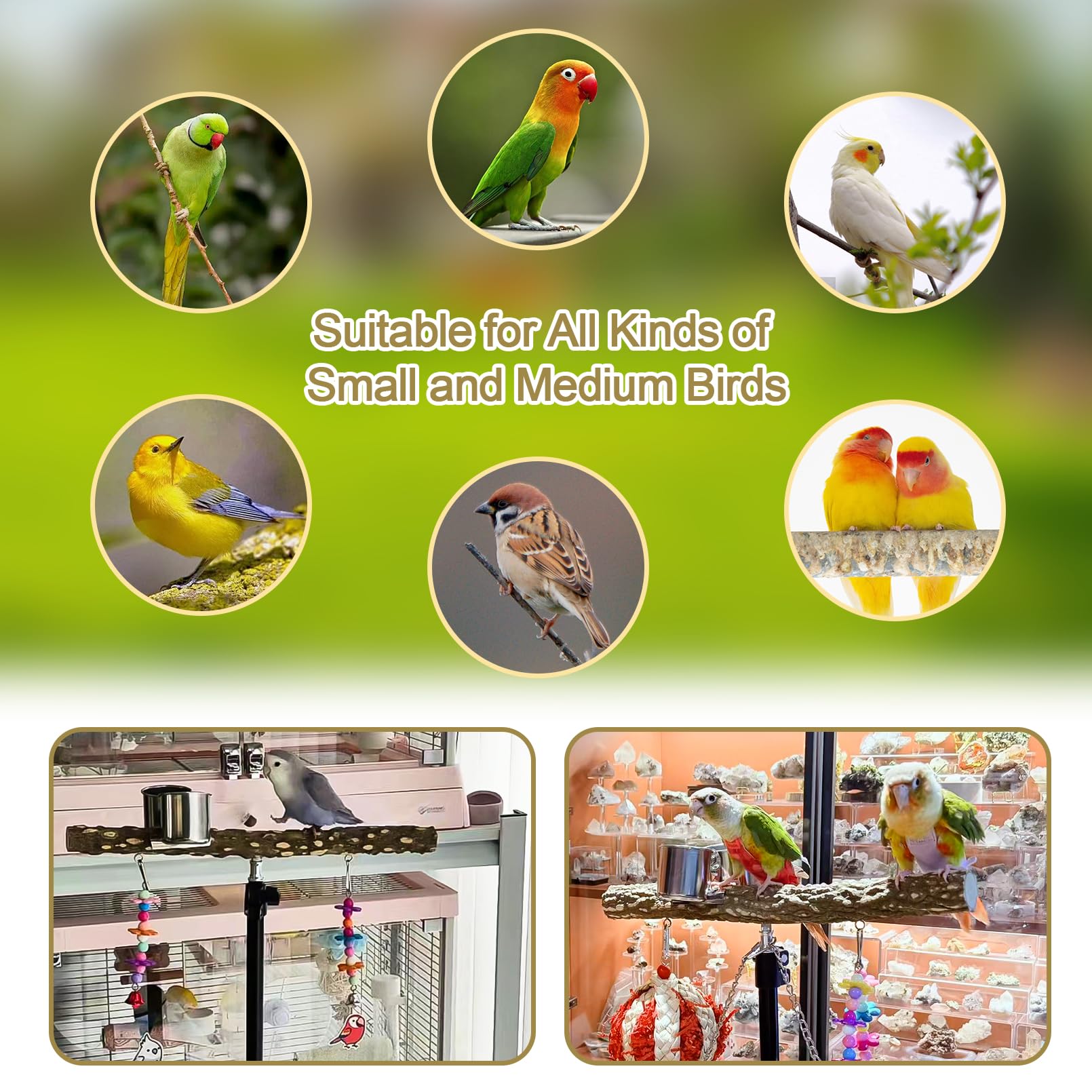 Arfubye 16-63 Inch Height Adjustable Bird Perch Pepper Wood Parrot Training Perch Stand with Feeding Cups and Swing Toy Parakeet Perches Indoor and Outdoor Parrot Stands for Small to Medium Bird