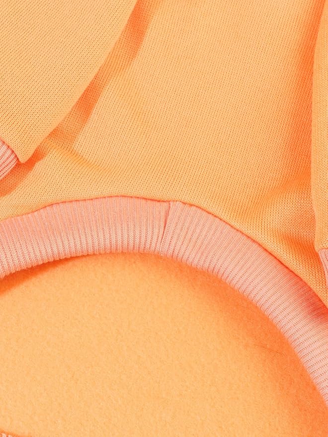 QWINEE Basic Dog Hoodie Sweatshirt Puppy Sweater Warm Cat Costumes Pet Clothes for Chihuahua Puppy Kitten Small Medium Dogs Orange X-Small